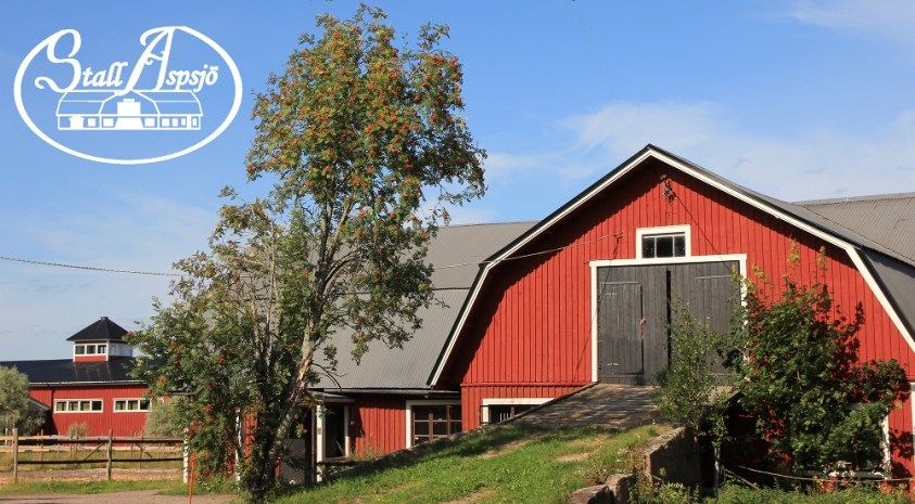 Stall_Aspsjo_talli_logo_1000x552px