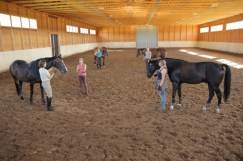 Stall_Aspsjö_ihmiset2_500x333px