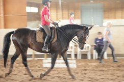 Stall_Aspsjö_ihmiset_500x333px