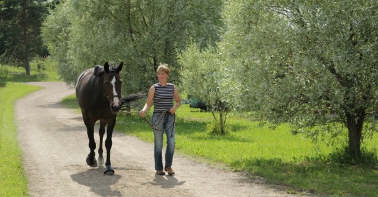 Stall_Aspsjö_Pami_1000x522px